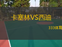  卡塞林VS西迪