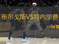  布爾戈斯VS特內里費