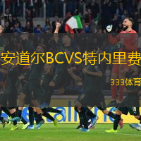  安道爾BCVS特內里費